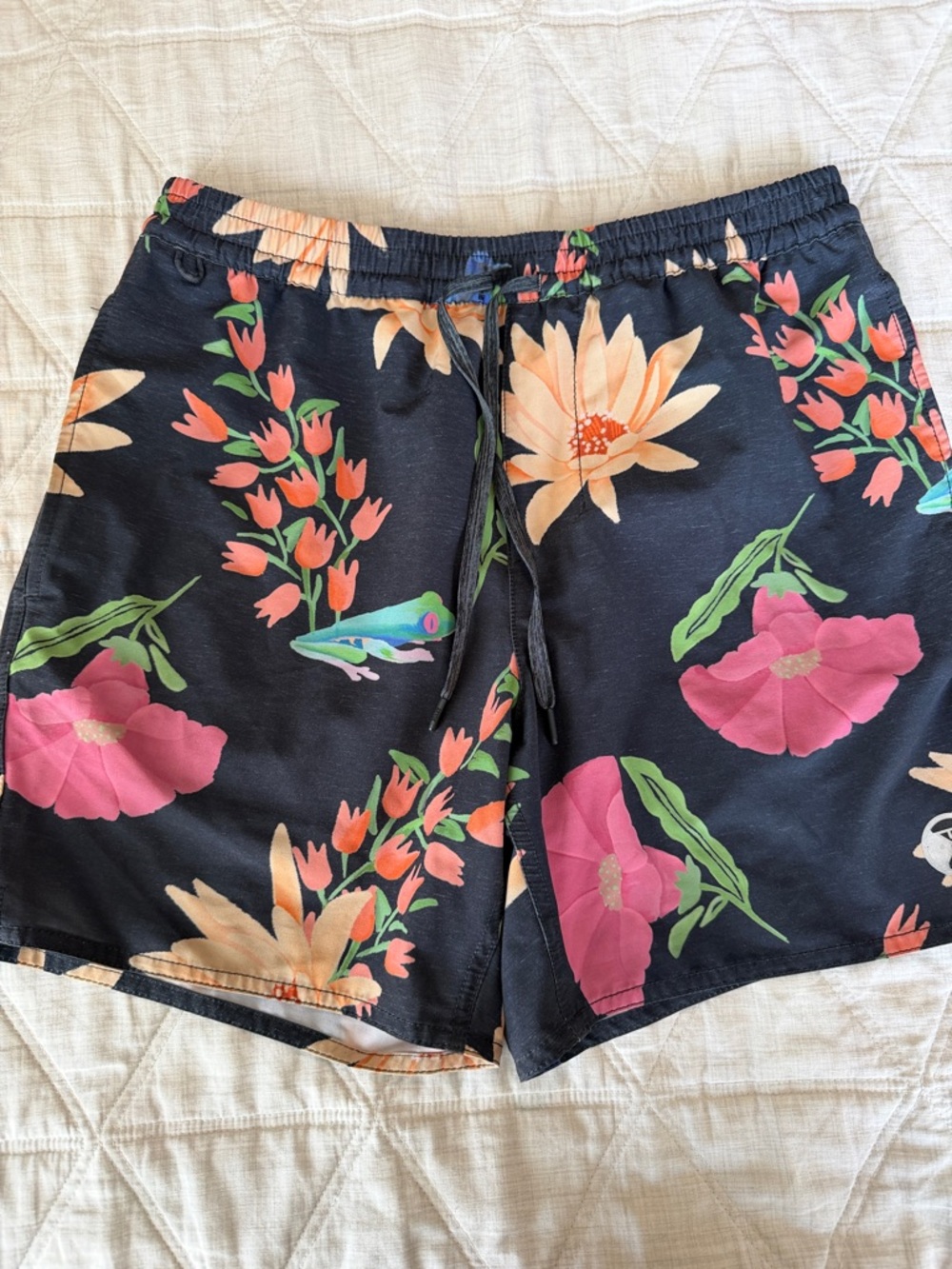 Roark Boardshorts
